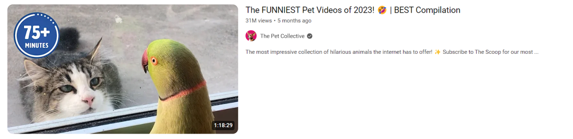 Pet YouTube Video Example